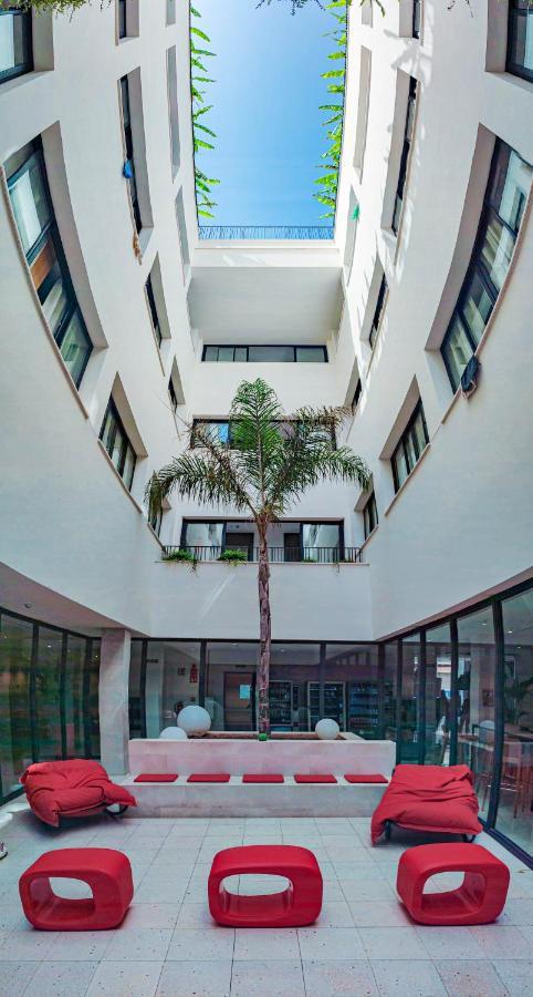 The Boc - Alberg Palma